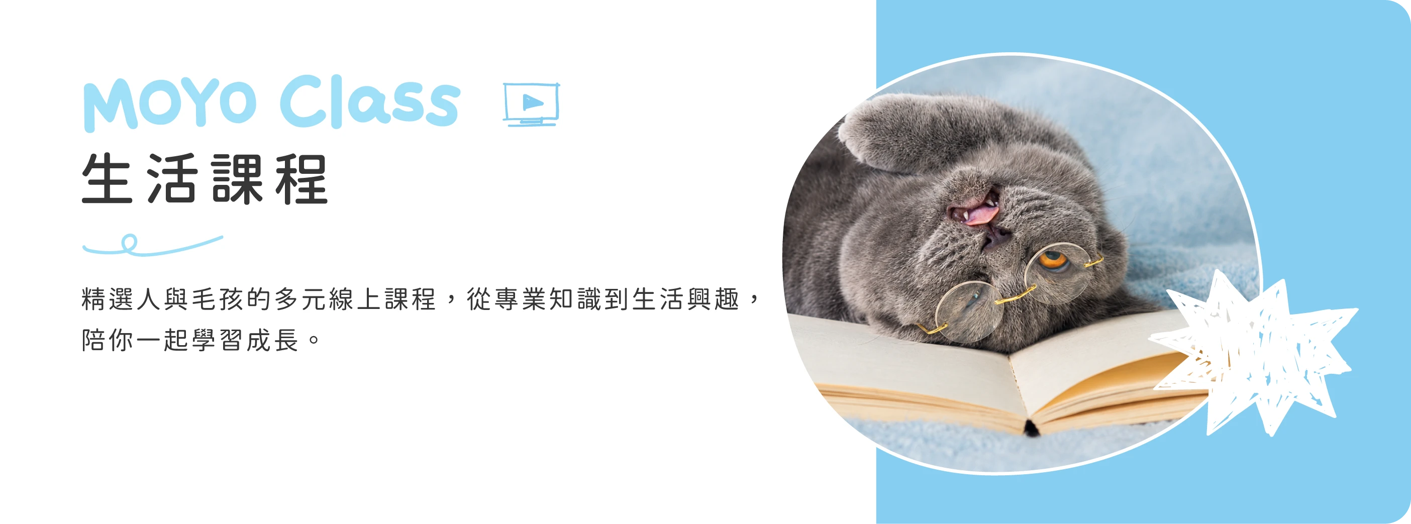 MOYO 主題 4