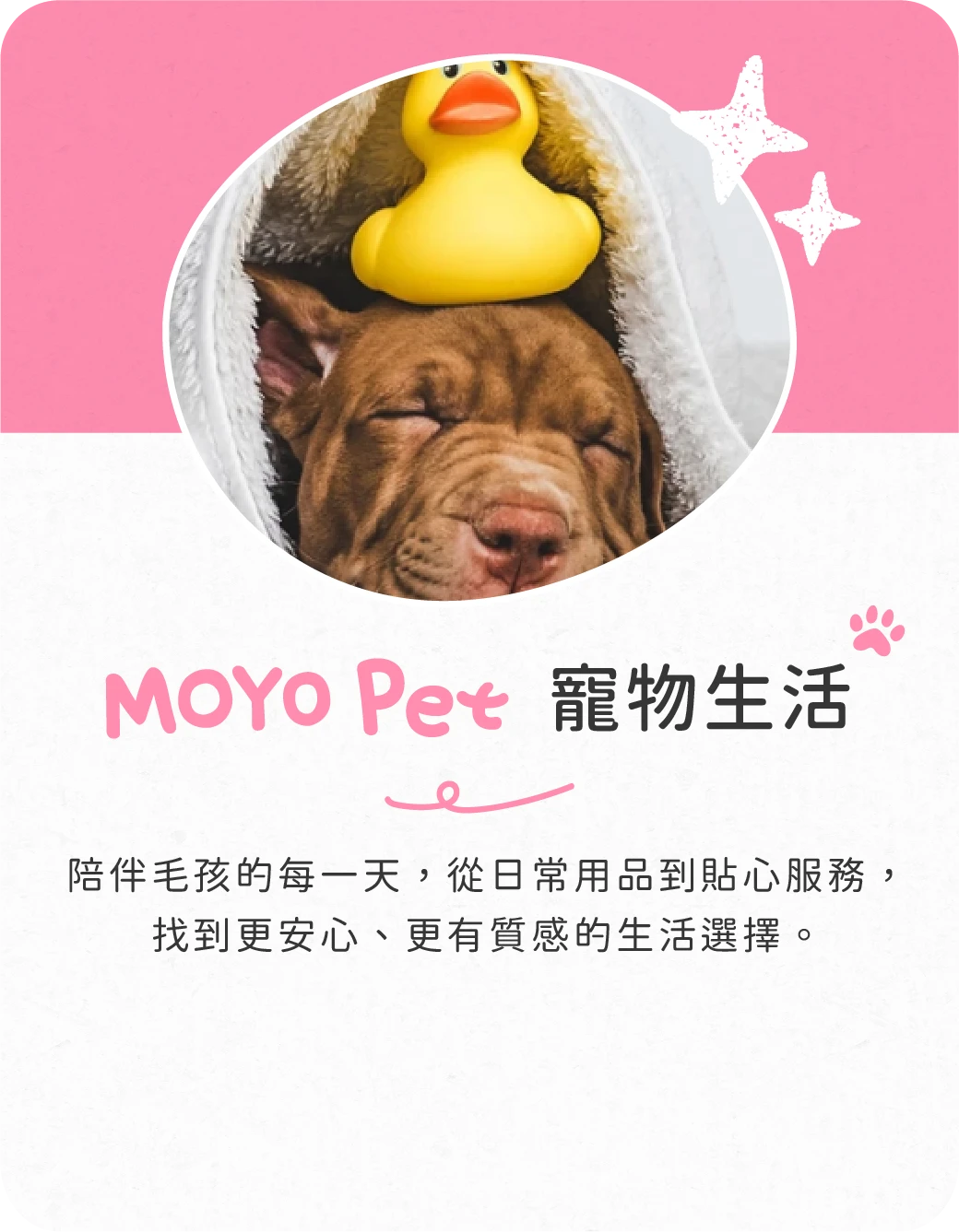 MOYO Pet 寵物生活