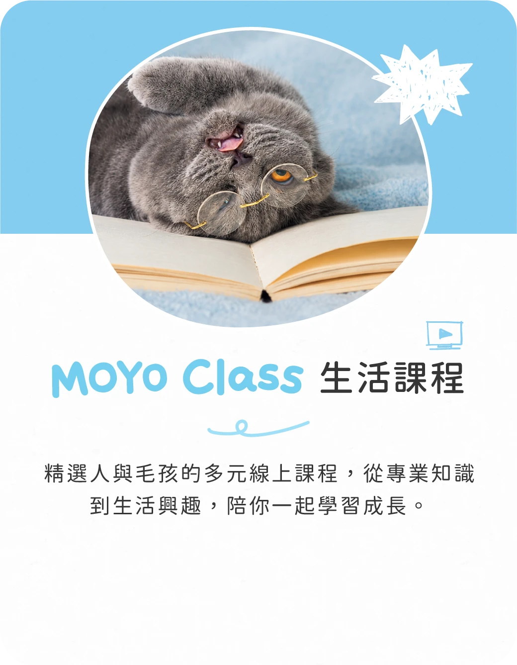 MOYO Class 生活課程